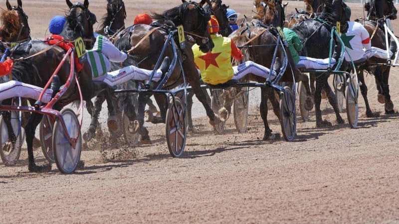 Les pronos hippiques du 15 mars 2022