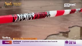 Jet de grenade à Grenoble: l'inquiétude des habitants du quartier 