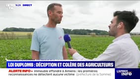 Duplomb Law: le "consternation" d'un fermier val-d'oise après la censure sur l'acétamipride