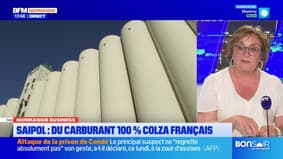 Normandie Business du mardi 3 juin - Saipol : du carburant 100 % colza français