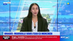JT du Sud du mercredi 4 septembre