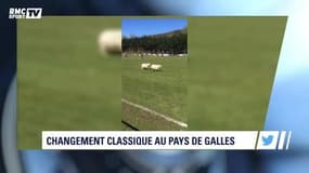 L'actu Sport.Net du 10 avril 2017