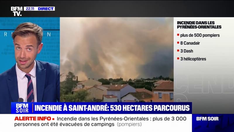 Incendie dans les Pyrénées-Orientales: le vent complique le travail des sapeurs-pompiers