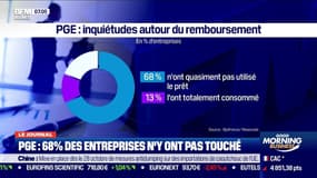 Prêts garantis par l'État: 68% des entreprises n'ont pas utilisé l'argent emprunté