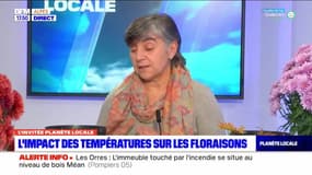 Planète Locale du mercredi 2 novembre 2022 - L'impact des températures sur les floraisons