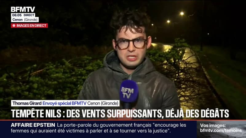 Tempête Nils: de nombreux dégâts dans la métropole bordelaise