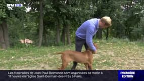 Le nombre de chasseurs augmente en France