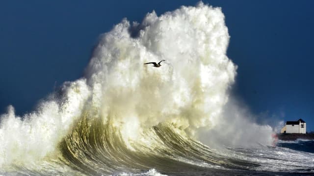 Le dernier record enregistré remonte à 2012. (photo d'illustration)