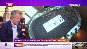 La diplomatie française persuadée que la psychose autour des punaises de lit vient de Russie