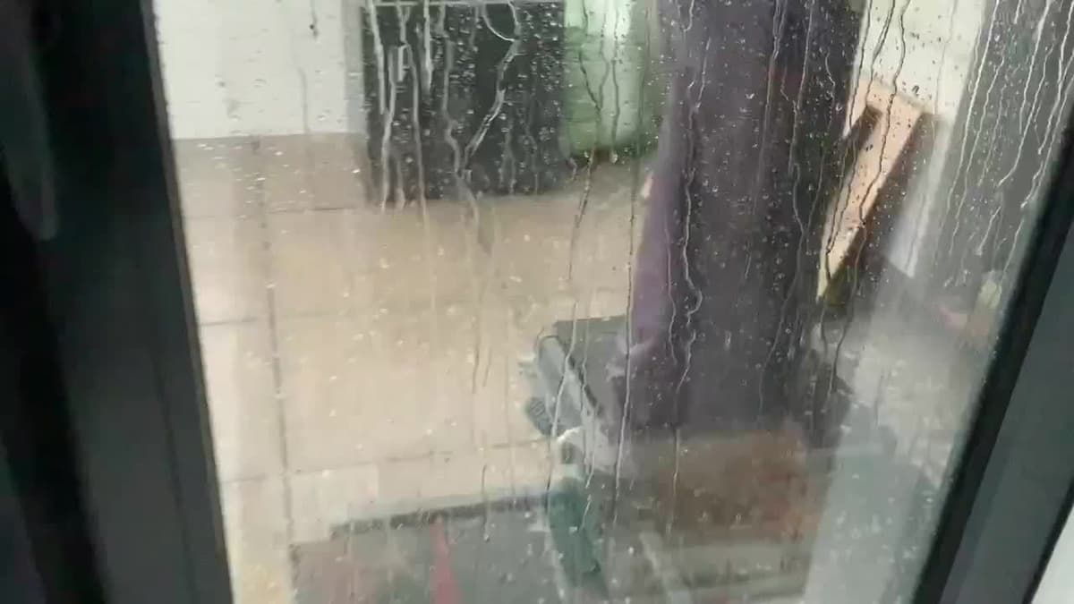 placeholder video