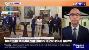 Une Cour d'appel maintient les droits de douane américains, un répit temporaire pour Donald Trump