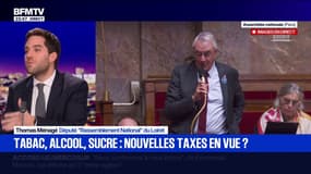Taxes: "On n'est pas prêt à accepter une partie recette qui va augmenter massivement les impôts", explique Thomas Ménagé, député RN