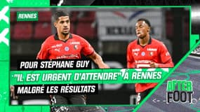 Rennes : Pour Stéphane Guy "Il est urgent d'attendre" à Rennes malgré les résultats