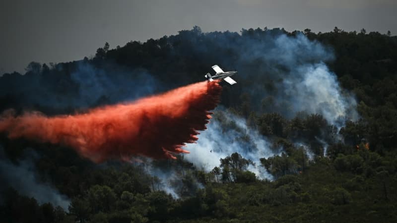 Chaleur, sécheresse... L'été 2025 est-il celui de tous les dangers sur le front des incendies?
