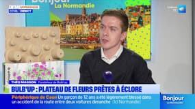 L'invité de Bonjour la Normandie du mardi 9 décembre 2025 - Théo Masson