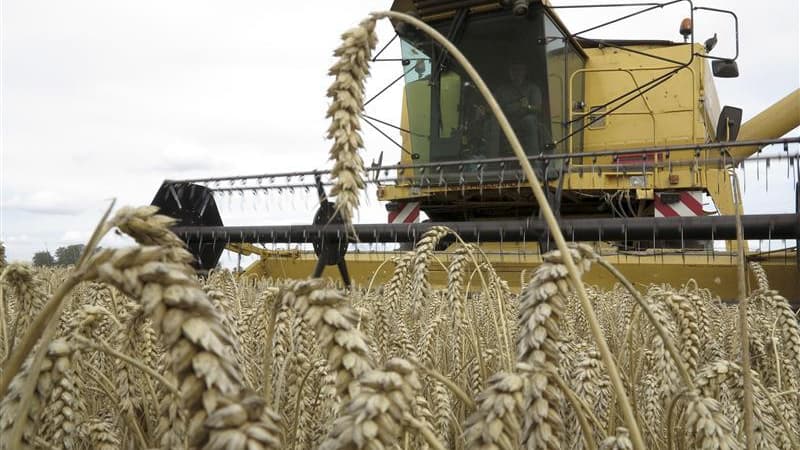 L'Union Européenne donne son feu vert à la taxation des céréales importées de Russie
