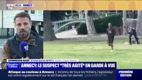 Attaque au couteau à Annecy: le suspect "très agité" en garde à vue