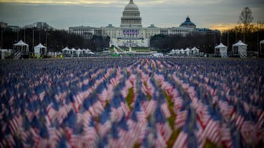 Les drapeaux sur le Mall de Washington