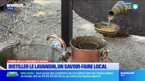 Foire de la lavande de Digne: distiller le lavandin, un savoir-faire local
