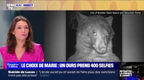 Le choix de Marie - Aux États-Unis, un ours prend 400 selfies