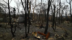 Une maison brûlée à Budgong, en Nouvelle-Galle-du-Sud, le 15 janvier 2020.