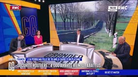 Sécurité routière : "J'ai perdu ma fille de 19 ans à cause d'un platane"