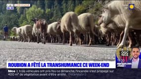 Roubion: la fête de la transhumance s'est déroulée ce week-end