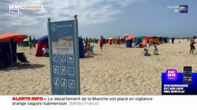 Normandie: après la pluie, des plages polluées