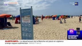 Normandie: après la pluie, des plages polluées