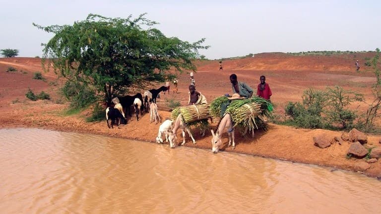 Le choléra se diffuse souvent par les points d'eau.