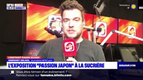 L'instant Radio Scoop: l'exposition "passion Japon" organisée à la Sucrière