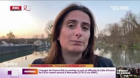 La vidéo d'un jeune cerf abattu par des chasseurs à courre dans les Yvelines fait scandale