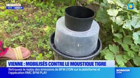 Vienne: des bénévoles mobilisés contre les moustiques tigre