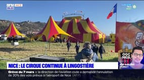 Nice: le cirque continue à Lingostière