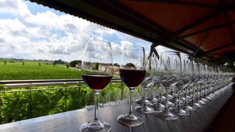 Un vignoble de Saint-Emilion