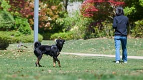 Une habitante de Shanghai promène son chien dans les espaces verts d'une résidence, pendant le confinement, le 16 avril 2022