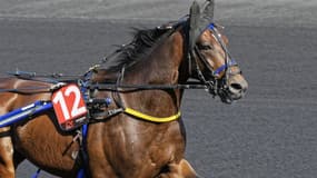 L'hippodrome de Vincennes accueillait la Journée des Champions ce dimanche 25 juin