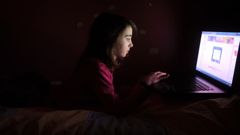 De nombreuses thèses complotistes circulent sur Internet depuis les attentats qui ont frappé Paris la semaine dernière. (photo d'illustration)