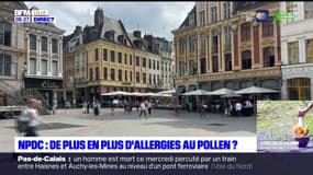 Nord-Pas-de-Calais: de plus en plus d'allergies au pollen?