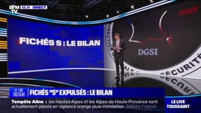 LES ÉCLAIREURS - Fichés "S" expulsés: le bilan