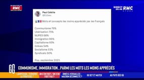 Communisme, immigration... parmi les mots les moins appréciés des Français ! 