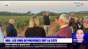 Grâce au rosé, les vins varois connaissent un succès croissant