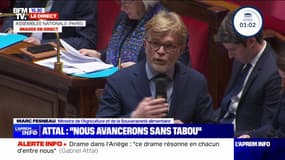Agricultrice morte en Ariège: "Vous n'êtes jamais en retard sur une démagogie ou une récupération" répond Marc Fesneau à un député RN