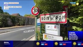 Seine-et-Marne: à Bois-le-Roi, plusieurs axes à 30 km/h