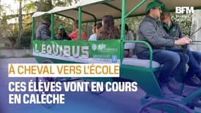 Bouches-du-Rhône: des enfants vont à l'école en calèche à Saint-Étienne-du-Grès