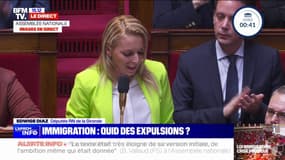 Loi iimmigration rejetée: "Vous avez proposé un texte qui aurait permis la création de nouvelles filières d'immigration", déclare Edwige Diaz (RN)