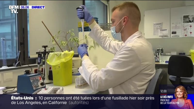 L'inquiétude des soignants face à la consommation de gaz hilarant chez les jeunes