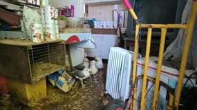 Les gendarmes ont été sollicités par la Fondation 30 millions d'Amis pour une suspicion de maltraitance animale sur la commune d'Aiglun. 