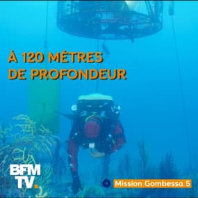  Ces 4 plongeurs ont exploré les fonds de la Méditerranée durant un mois, et voici leur diagnostic 