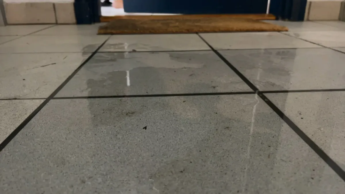 placeholder video